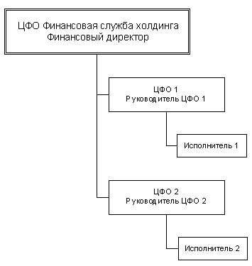 Рис. 1 Пример финансово-функциональной структуры 